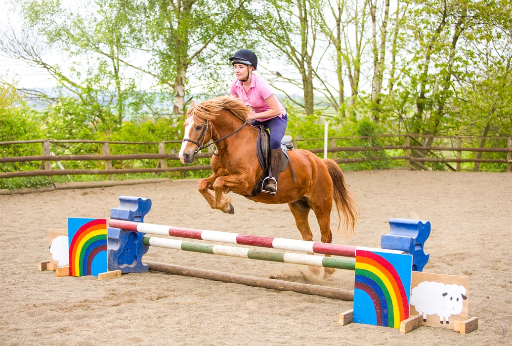 Horse Riding Lessons