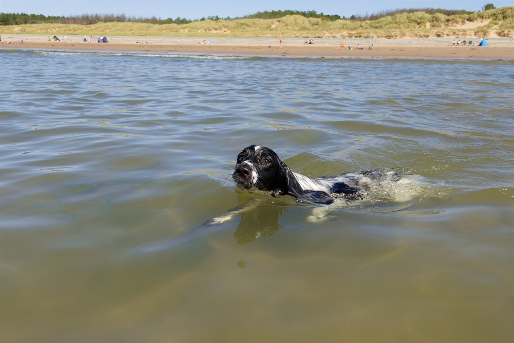Miles of sandy beaches to explore