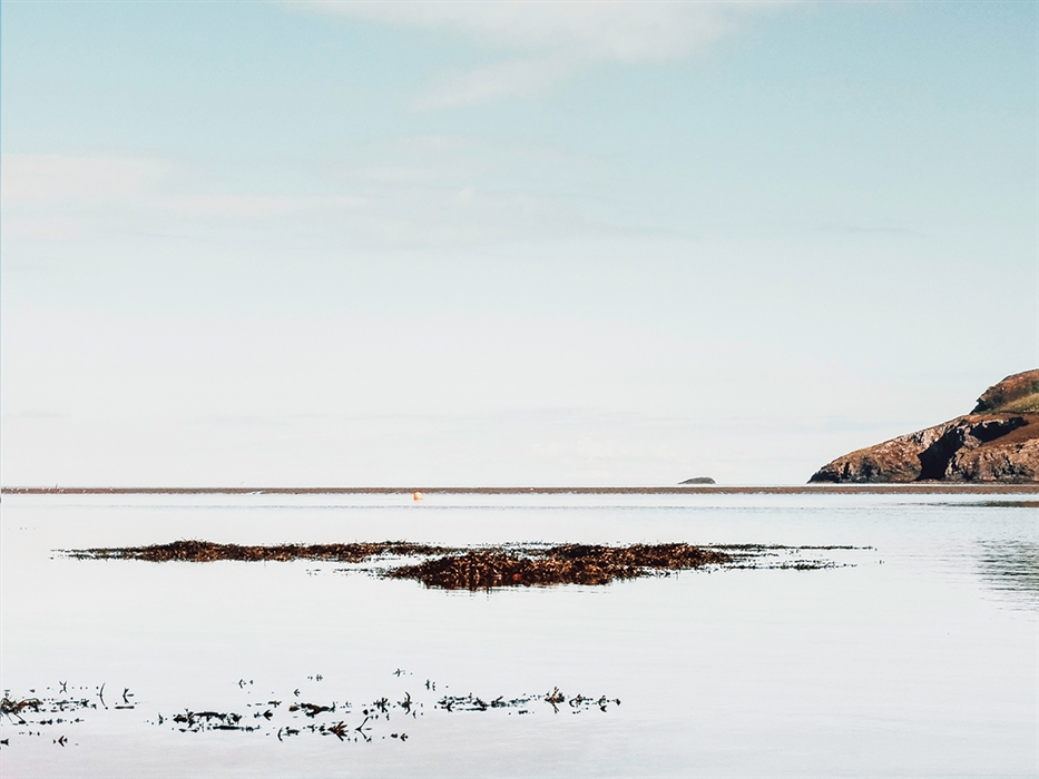 Image showing Coast & Wilds logo overlaid on a coastal scene from Newport, Pembrokeshire