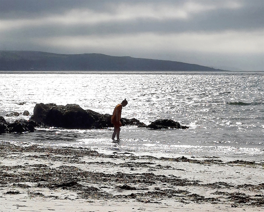 Image showing Noelle foraging for seaweed at Pwllgwaelod Beach