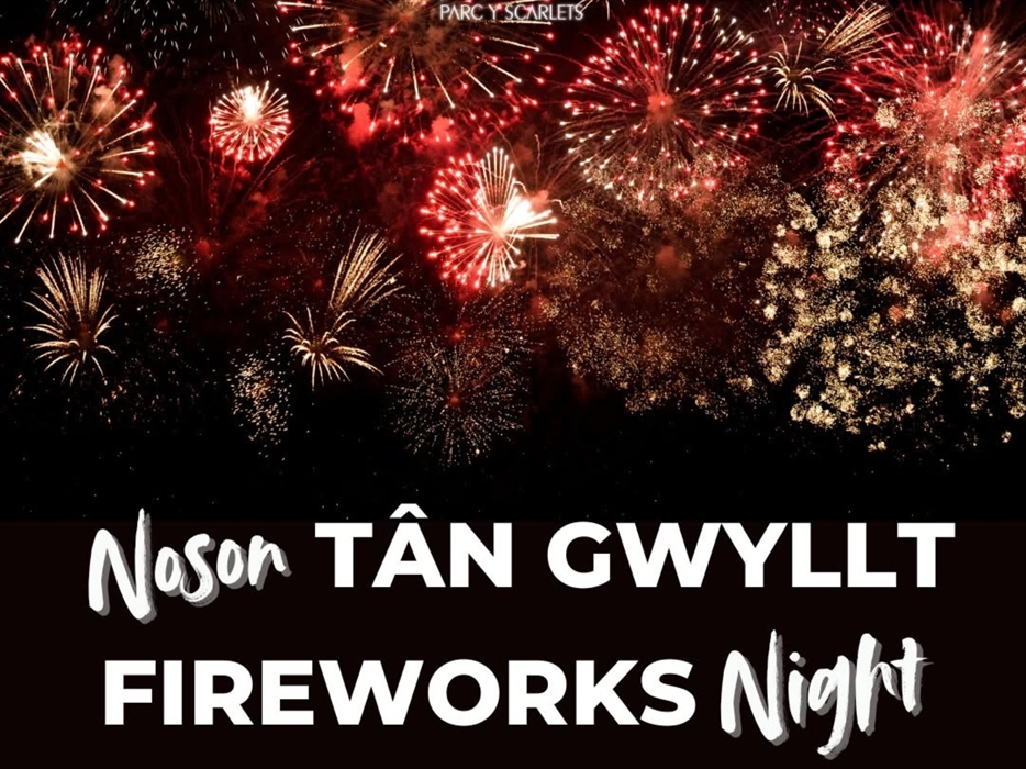 Fireworks Display Parc y Scarlets