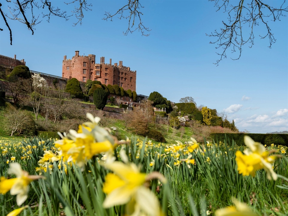 Celebrate St David's Day at Powis Castle