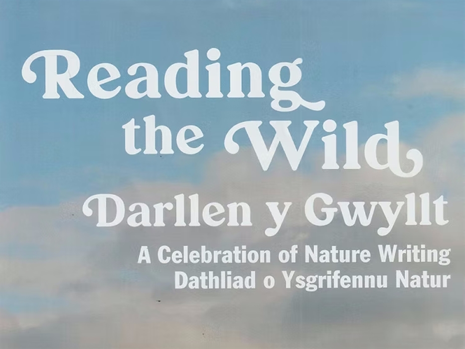 Reading the Wild Literary Festival at Llandovery