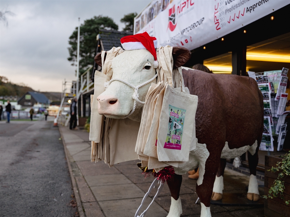 Royal Welsh Winter Fair