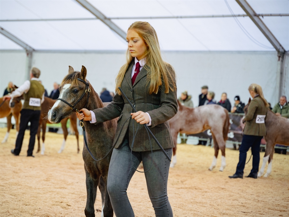 Royal Welsh Winter Fair