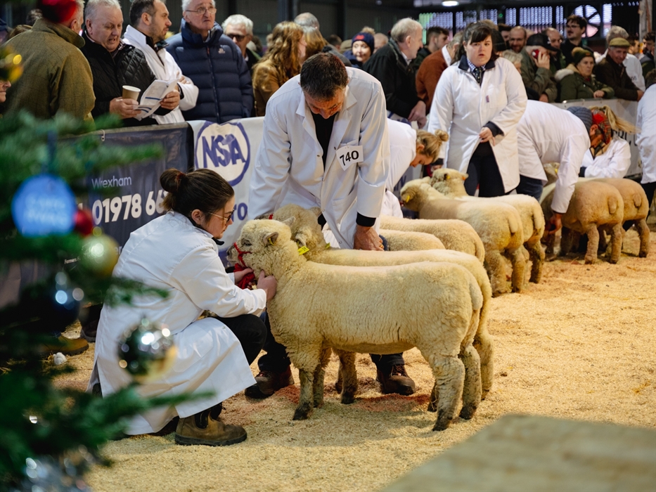 Royal Welsh Winter Fair