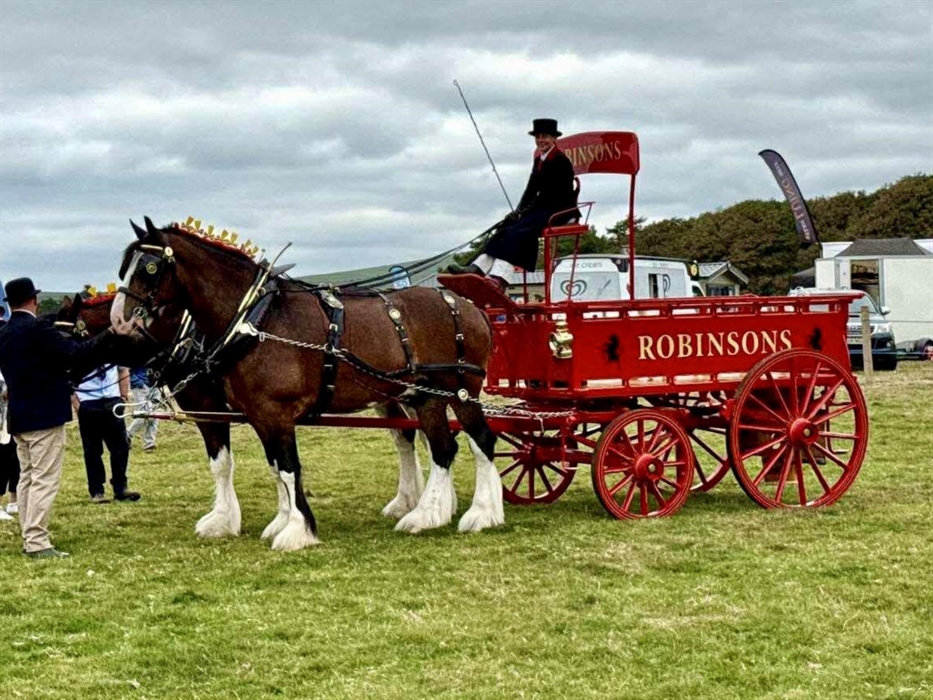 Meirioneth County Show