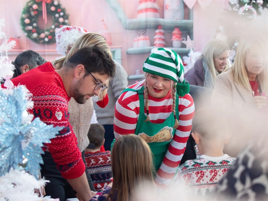 Christmas Activities at Rheidol Valley Railway