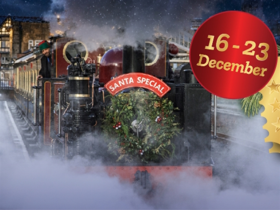 A Ticket to Christmas Vale of Rheidol Railway