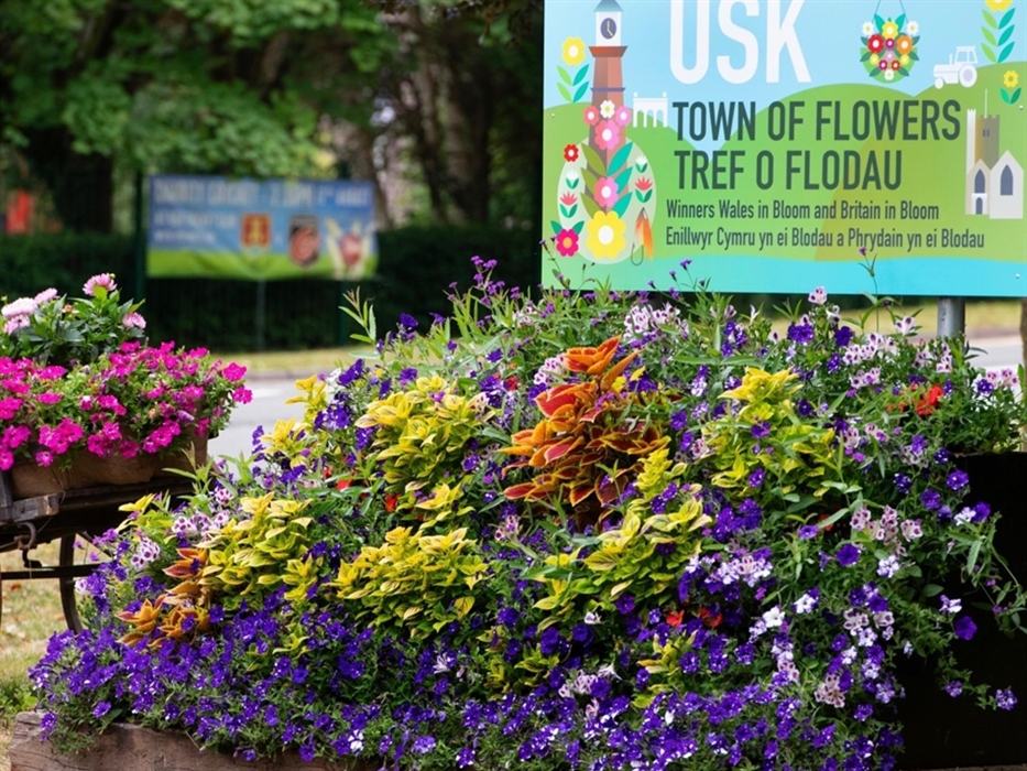 Usk Open Gardens