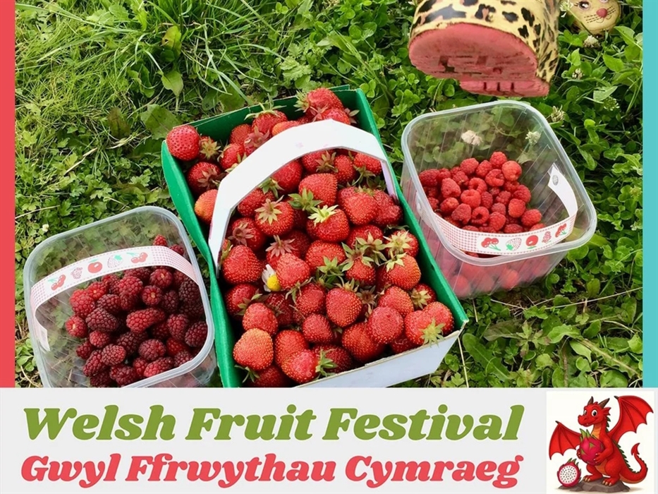 Welsh Fruit Festival